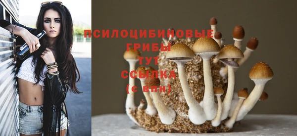 амф Дмитровск