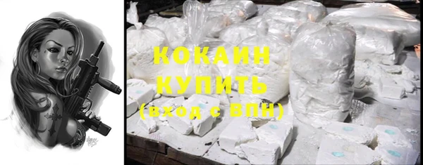 винт Горно-Алтайск