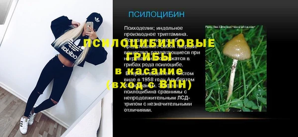 спиды Горнозаводск