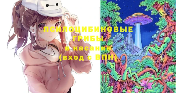 винт Горно-Алтайск