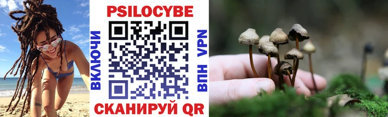 Псилоцибиновые грибы мицелий  Подольск 
